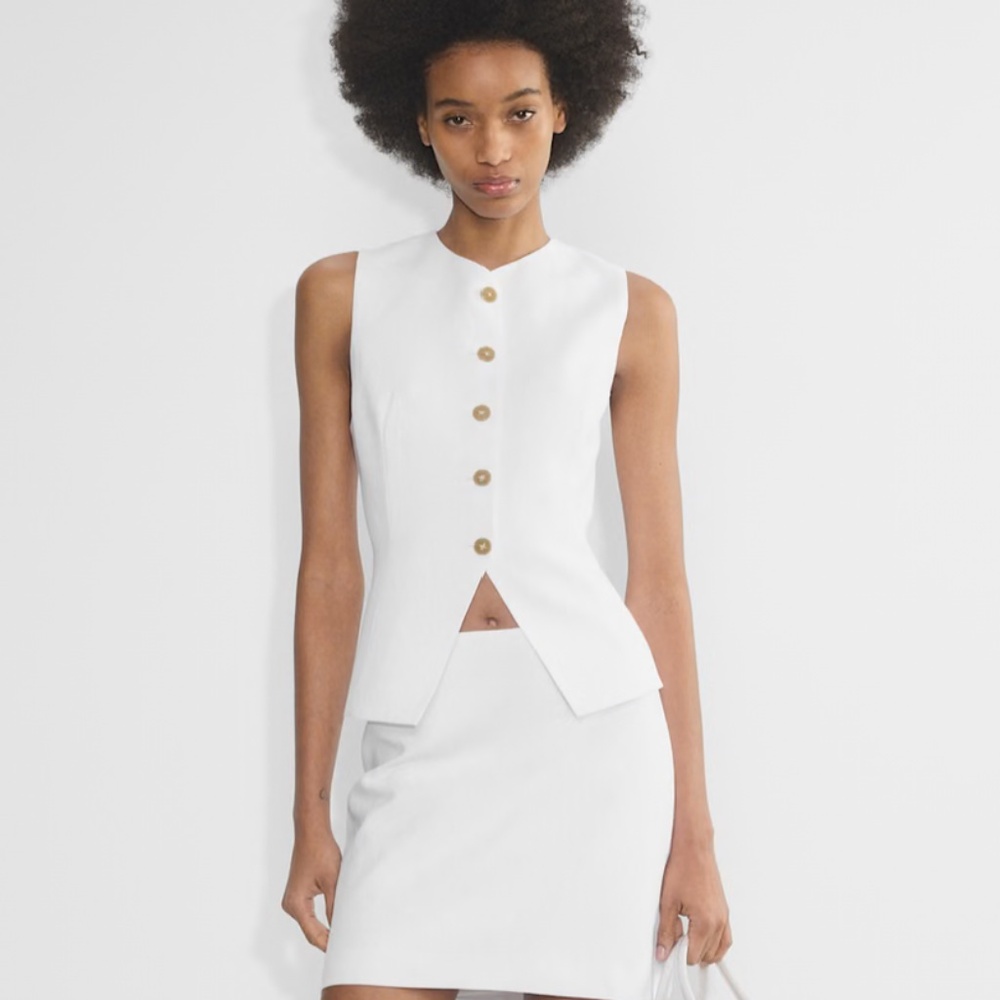 Aritzia Top